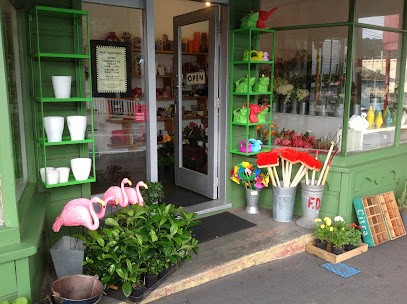 Next Stop Earth, Florist in Wellington