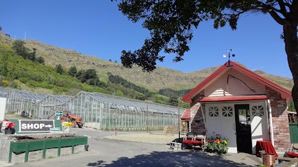 Aromaunga Baxters Flowers, Florist in Christchurch