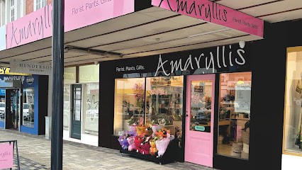 Amaryllis For Flowers And Plants, Florist in Dunedin