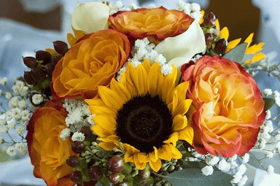 Sumner FlowerBiz Florist, Florist in Christchurch