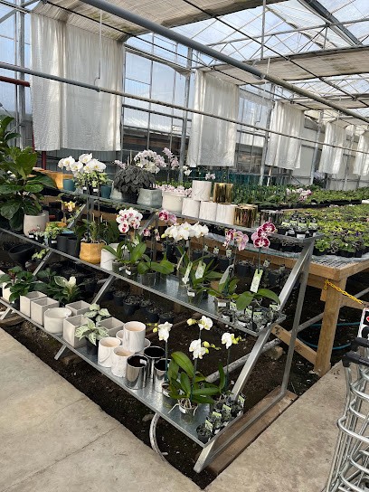 Moffatts Flower Company, Florist in Christchurch