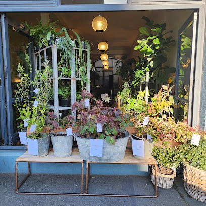 Yvette Edwards Studio, Florist in Wellington