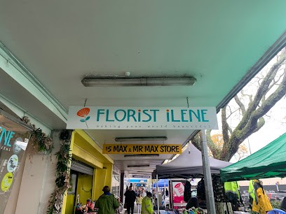 Florist Ilene - Florists Hamilton, Florist in Hamilton