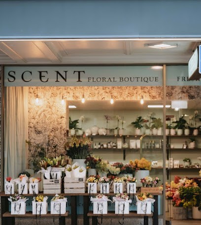 Scent Floral Boutique, Florist in Wellington