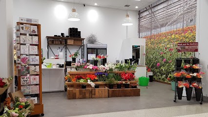 Hornby Florist, Florist in Christchurch