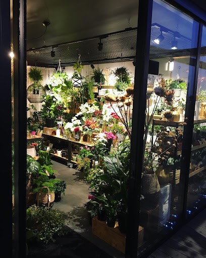 Wild Botanic, Florist in Christchurch