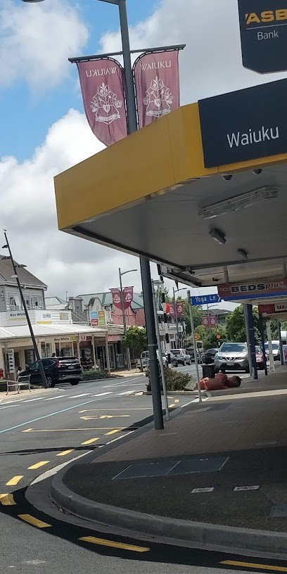 Waiuku Village Flowers, Florist in Waiuku