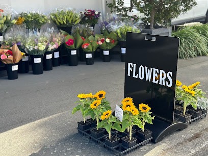 Flowers On Carlton, Florist in Christchurch