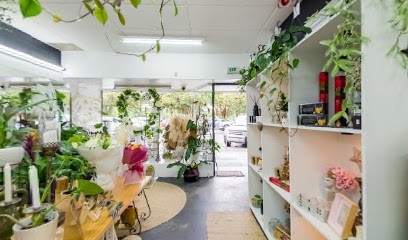 Floral Collaborative, Florist in Palmerston North