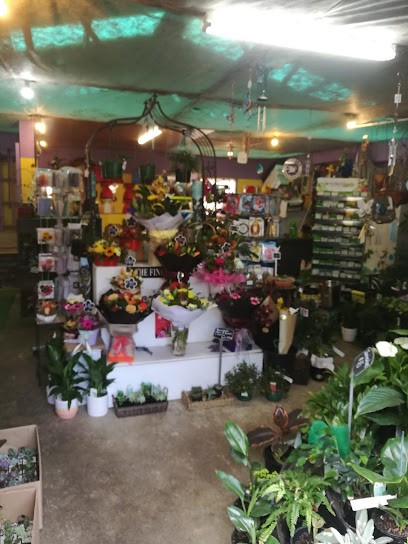 Smithies The Plantsmith, Florist in Waiuku