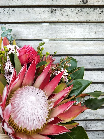 MOSS Floral Design, Florist in Havelock North