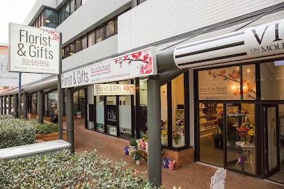 Best of the Bunch Florist Wellington, Florist in Wellington